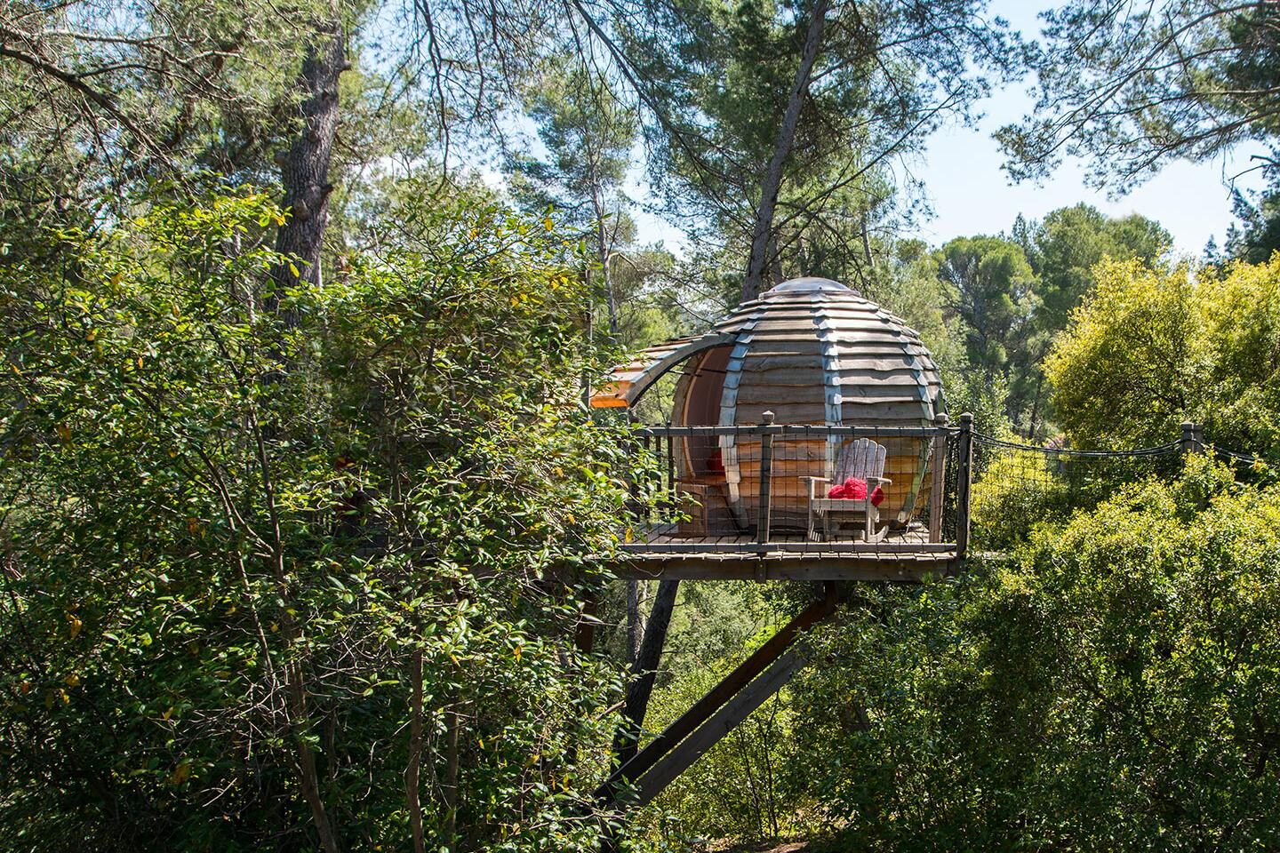 Cabane dans les arbres